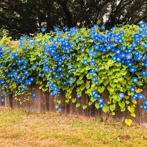 Meet your Posher, Thane